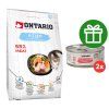 48588 ontario kitten salmon 2 kg