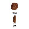 10055 granule
