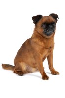                                     Mazlíčkův šatník
                            