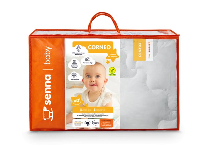 INTER WIDEX Dětská souprava CORNEO 100x135 40x60