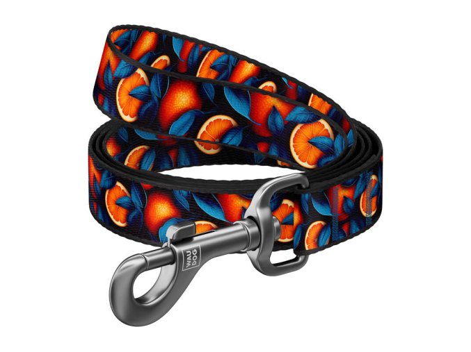 Nylon dog leash, pattern ''Oranges'' length 122 cm Waudog