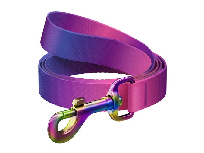 WAUDOG gradient nylon dog leash, 20mm wide, 122cm long, purple