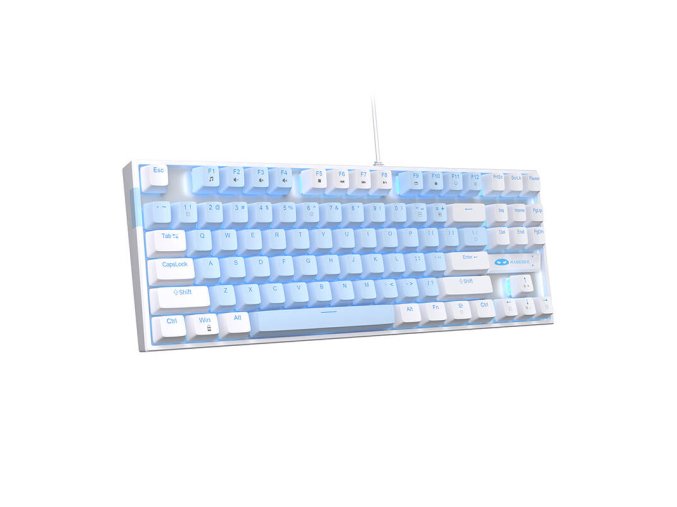 MageGee MK-STAR wired keyboard (white and blue)