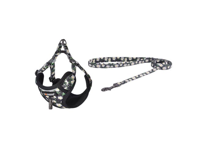 Dogness walking set leash+harness for dog (multicolor)