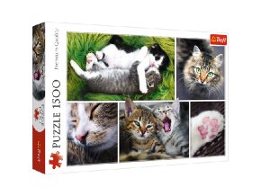 TREFL 26145 Puzzle 1500 Kočičí hmota-koláž