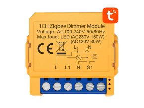 Smart socket switch ZigBee Avatto ZDMS16-1 TUYA