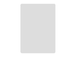 Thermal labels Niimbot stickers 50x70 mm - 100 pcs. Silver