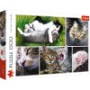 TREFL 26145 Puzzle 1500 Kočičí hmota-koláž