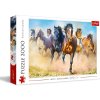 TREFL 27098 Puzzle 2000 Cválající stádo koní