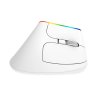 Bezdrátová vertikální myš Delux M618C 2,4G 1600DPI RGB (bílá)