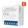 Chytrý spínací modul WiFi Avatto WSM16-W2 TUYA