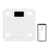Mini Smart Scale Yunmai M1501