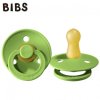 BIBS 100220 PEAR S dudlík