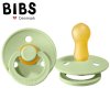 BIBS 100249 dudlík PISTACHIO S