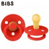 BIBS 100290 CANDY APPLE S dudlíkem