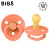 BIBS 100292 Dudlík PAPAYA S