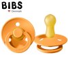 BIBS 200219 Dudlík APRICOT M