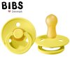 BIBS 200224 PINEAPPLE dudlík M