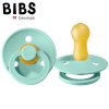 BIBS 200226 Dudlík MINT M