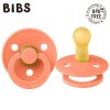 BIBS 200292 PAPAYA dudlík M