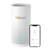 Chytrá Wi-Fi čistička vzduchu Meross MAP100 (HomeKit)