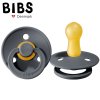 BIBS 300221 Dudlík IRON L