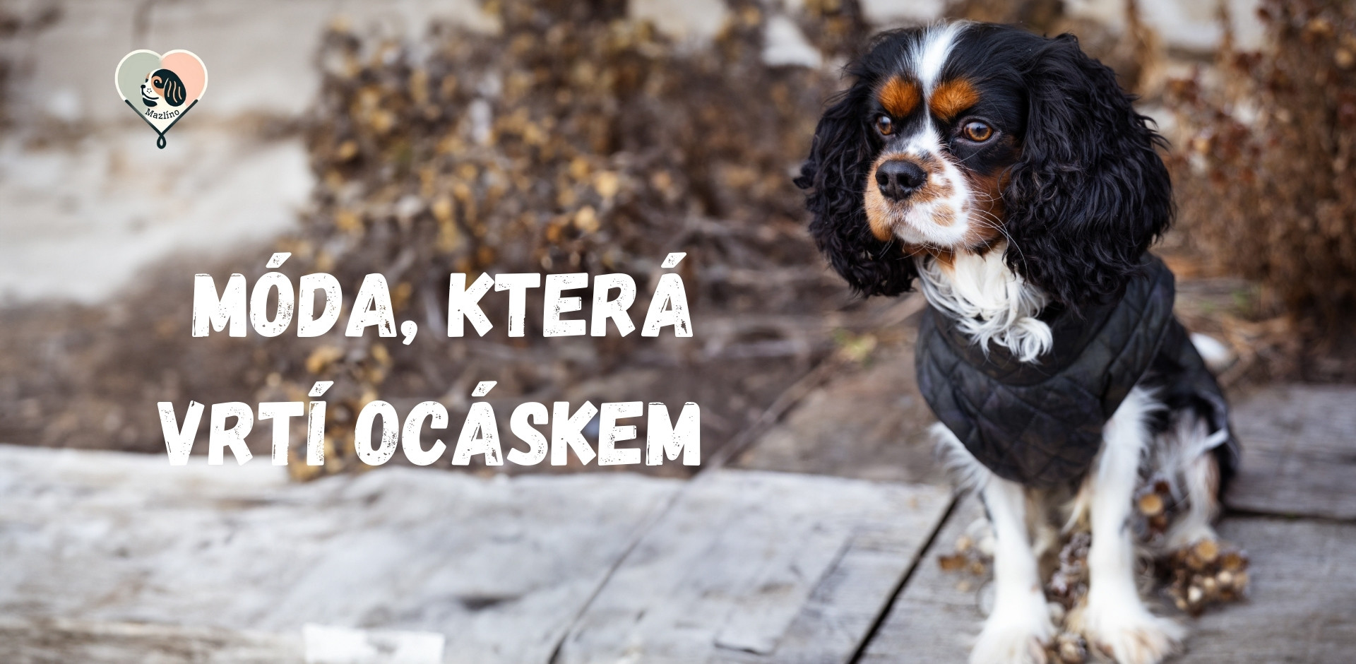Moda, která vrtí ocáskem