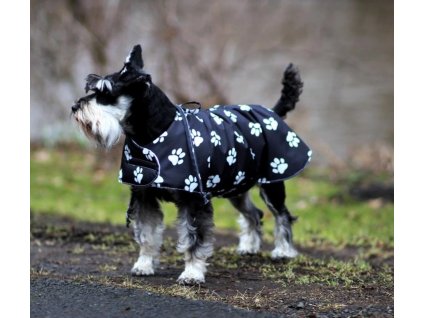 Snímek obrazovky 2025 02 26 112248