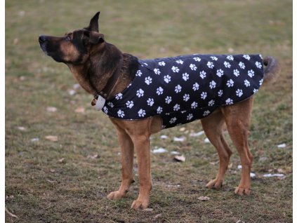 Obleček pro psa 7