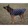 Obleček pro psa 7