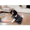 Gemini Generated Image jqvp4ojqvp4ojqvp