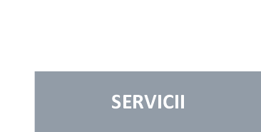 servicii
