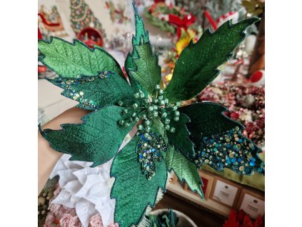 Vánoční hvězdice - zelená