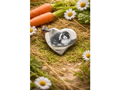 file 0000000032bc72439aba39a21fd2516e