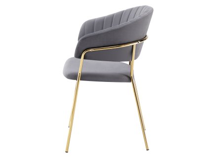 dasmin typ 1 sivohneda 02