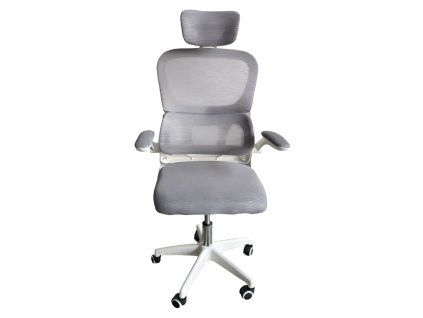 feris stolicka siva 1