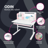 infografika Odin ruzova sk