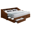 moneta postel orech dod 01