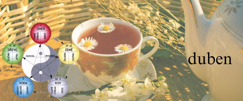 Duben - pro zdraví jater