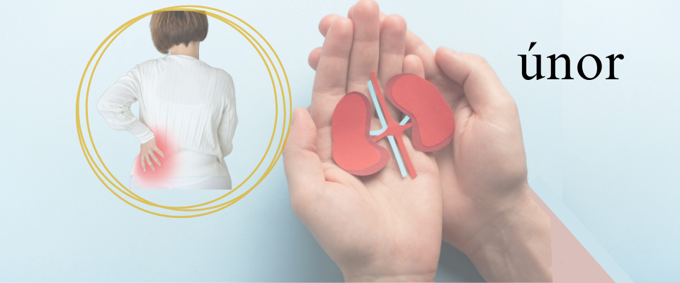 Únor - péče o ledviny