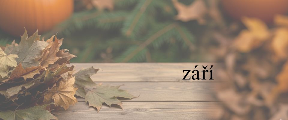 Září - slinivka a slezina