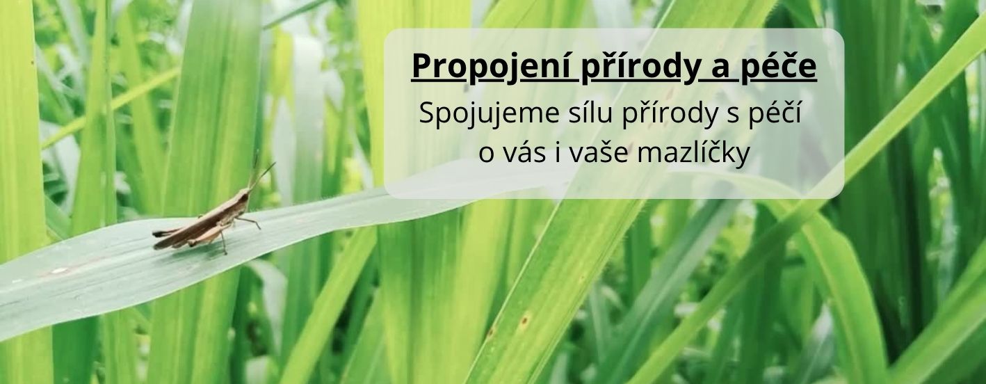 PROPOJENÍ PŘÍRODY A PÉČE