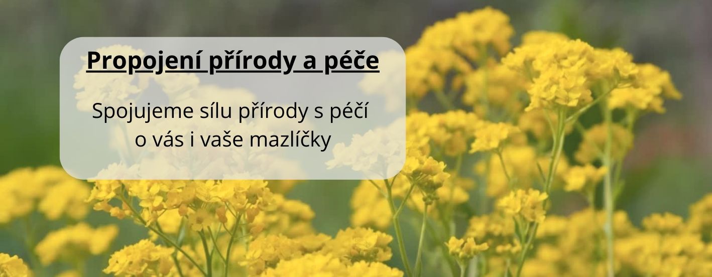 PROPOJENÍ PŘÍRODY A PÉČE