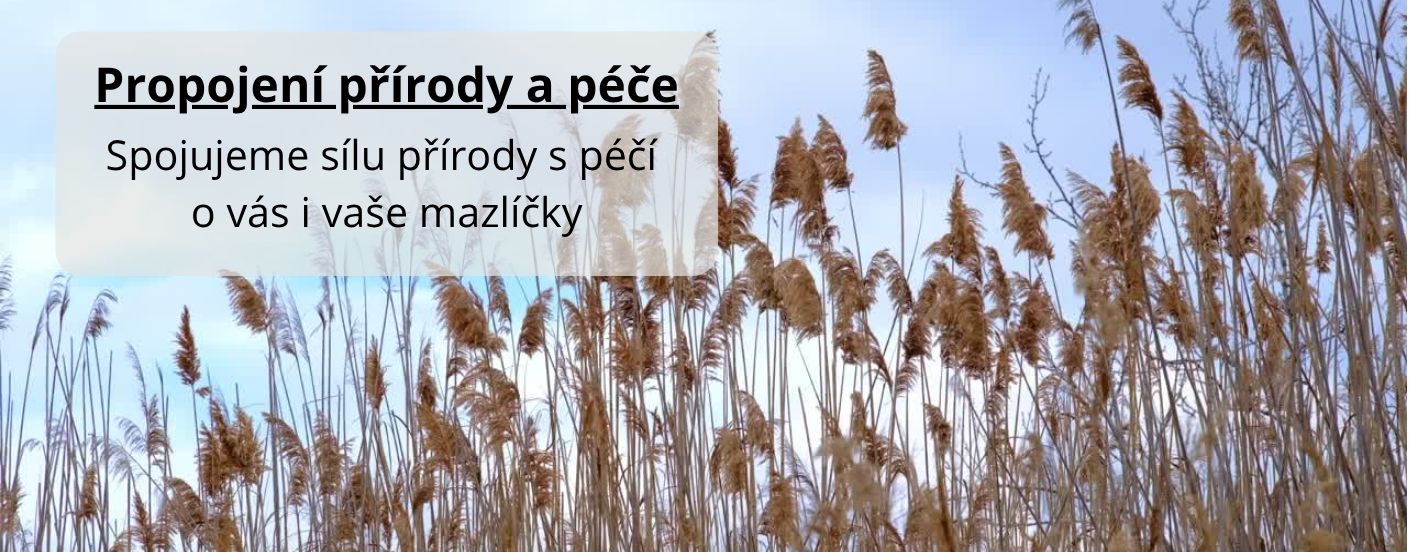 PROPOJENÍ PŘÍRODY A PÉČE