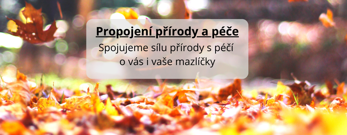 PROPOJENÍ PŘÍRODY A PÉČE