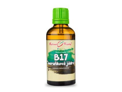 B 17 meruňková jádra
