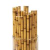 Paper bamboo straw