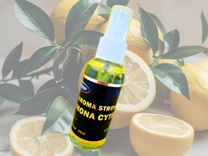 canva citrusy