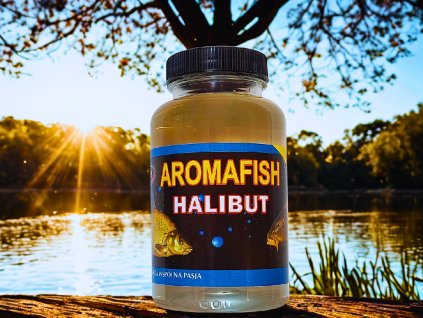 canva halibut
