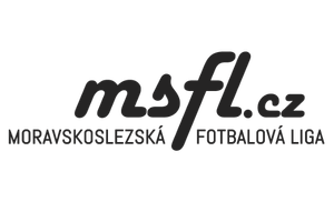 MSFL